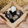 Bamboo Storage Basket