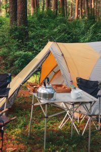 Bamboo Camp Mug
