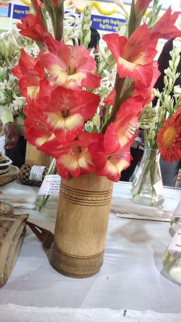 Bamboo Plant Pot